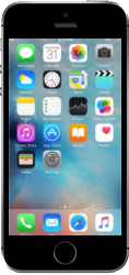 Ремонт iPhone SE в Гомеле