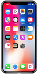 Ремонт iPhone X в Гомеле